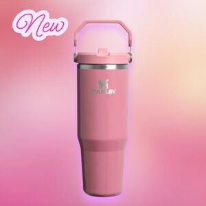 Stanley 30oz Tumbler